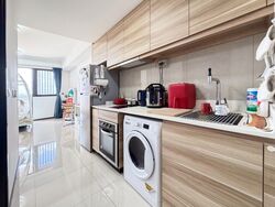The Poiz Residences (D13), Apartment #593674851